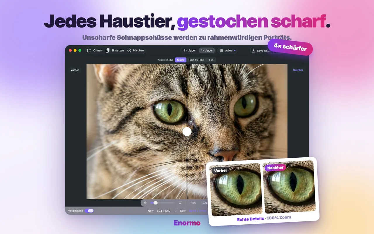 Enormo macht ein Haustierfoto scharf und detailreich