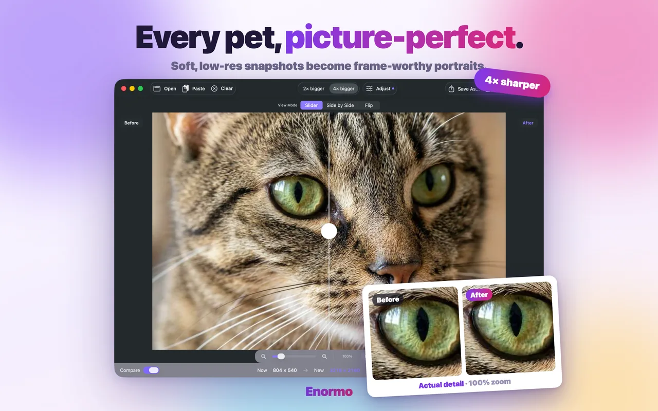 Enormo making a pet photo sharp and detailed