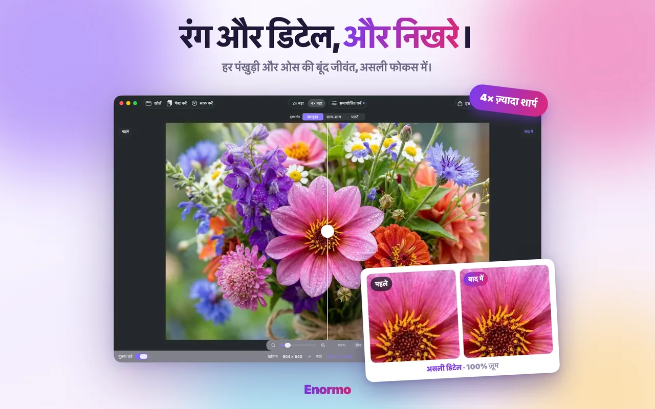 Enormo एक प्रकृति की फ़ोटो को बेहतर बना रहा है