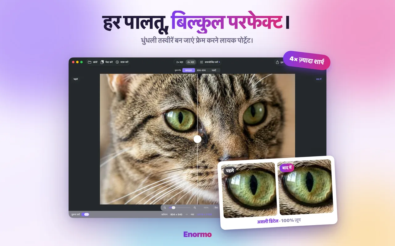 Enormo एक पालतू जानवर की फ़ोटो को शार्प और डिटेल्ड बना रहा है