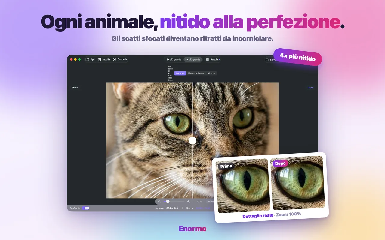 Enormo rende nitida e dettagliata la foto di un animale