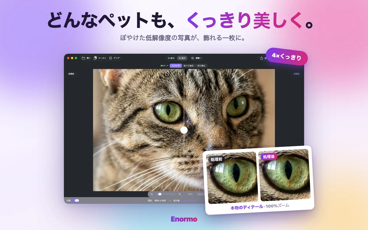 Enormoがペットの写真をくっきりと精細に仕上げる様子