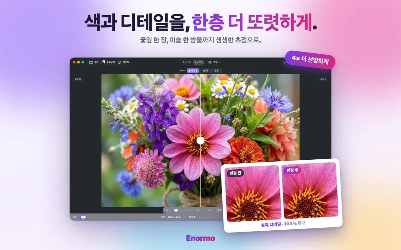 자연 사진을 향상시키는 Enormo