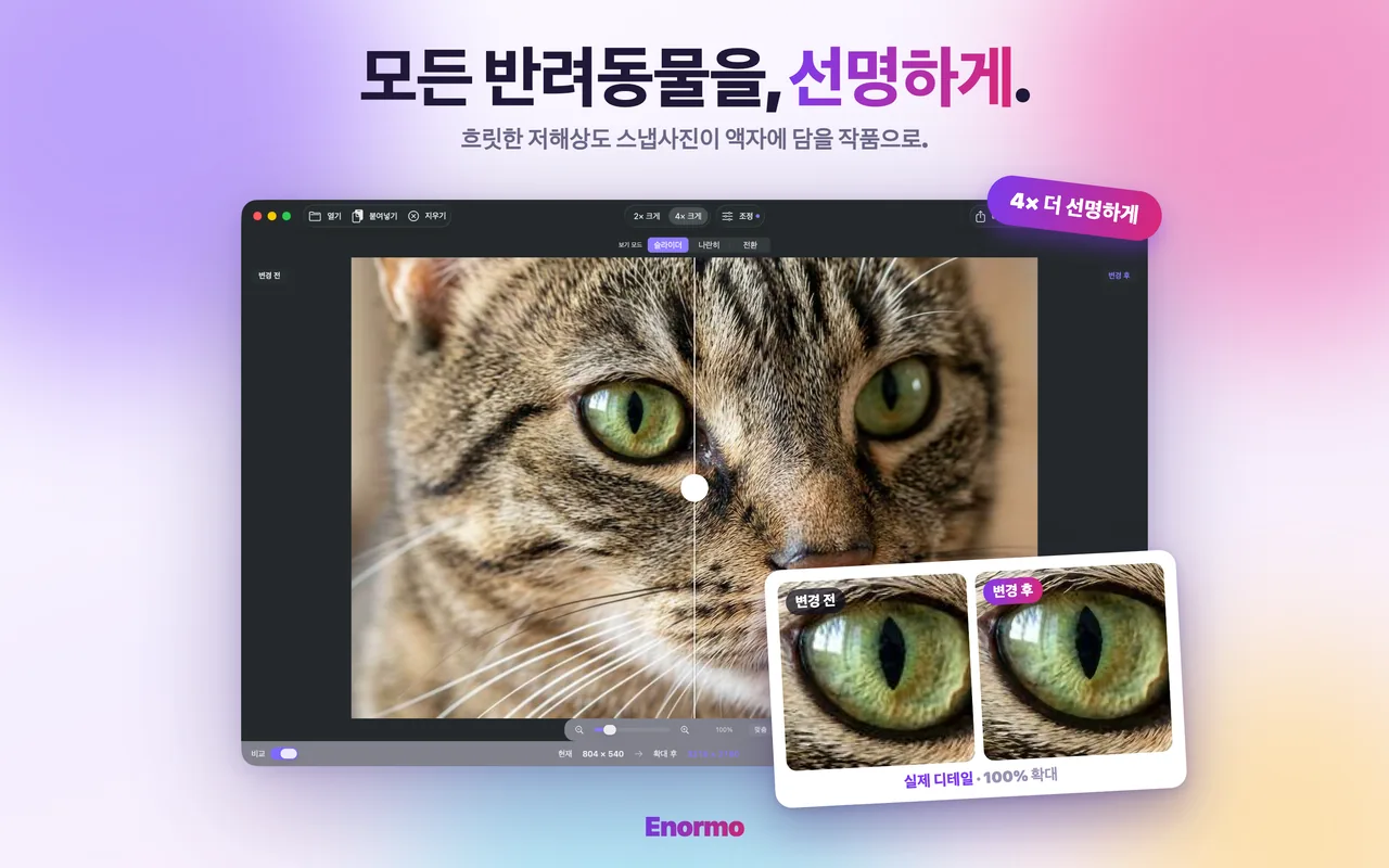 반려동물 사진을 선명하고 디테일하게 만드는 Enormo