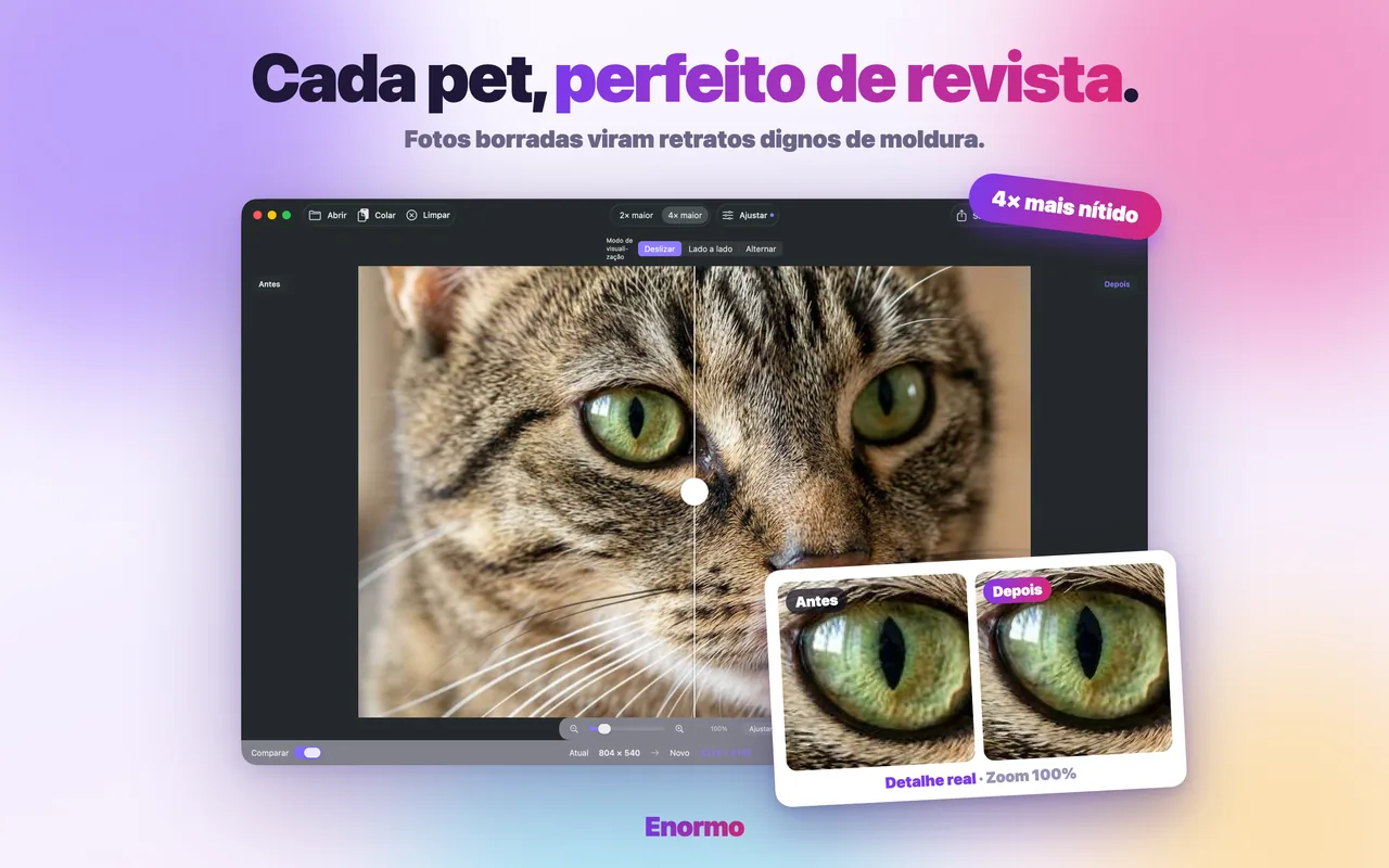 Enormo deixando a foto de um pet nítida e detalhada