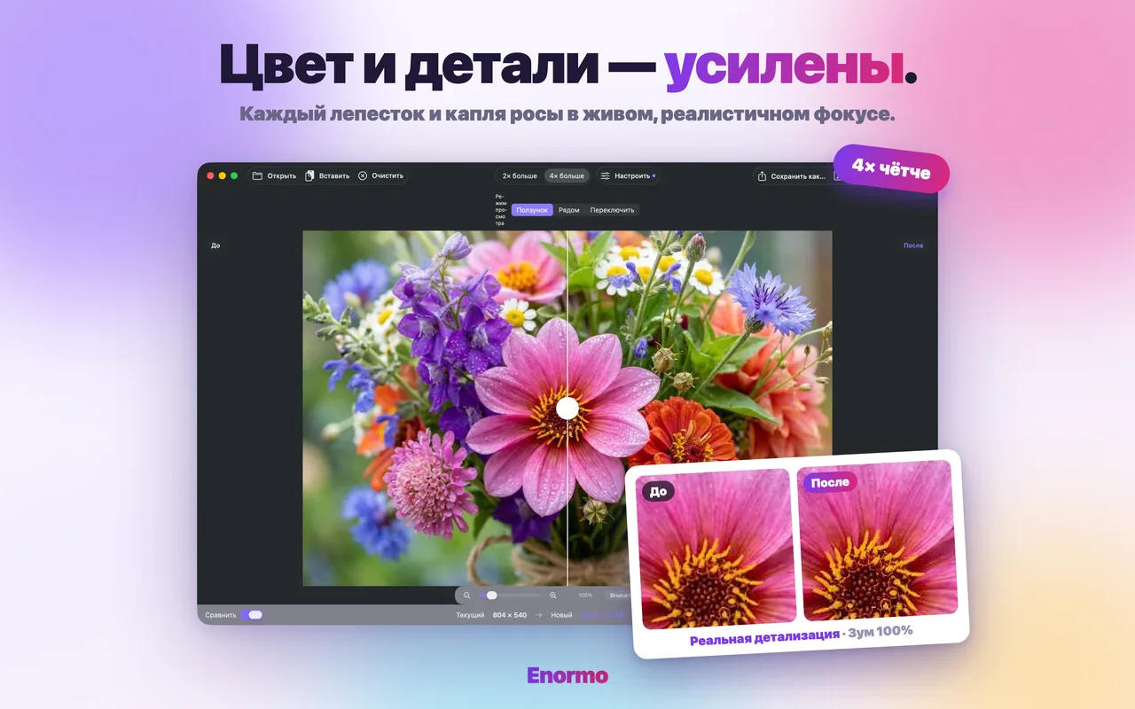 Enormo улучшает фото природы