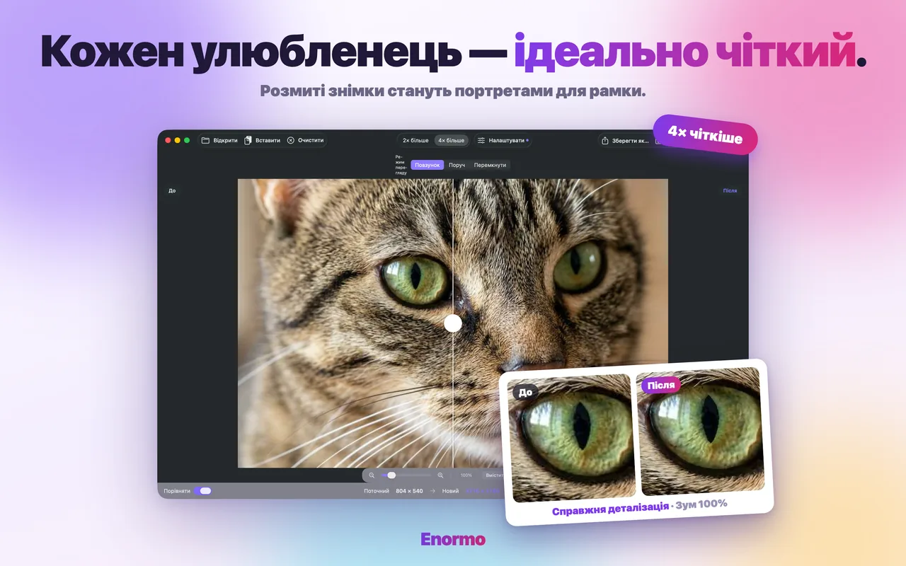 Enormo робить фото улюбленця чітким і деталізованим