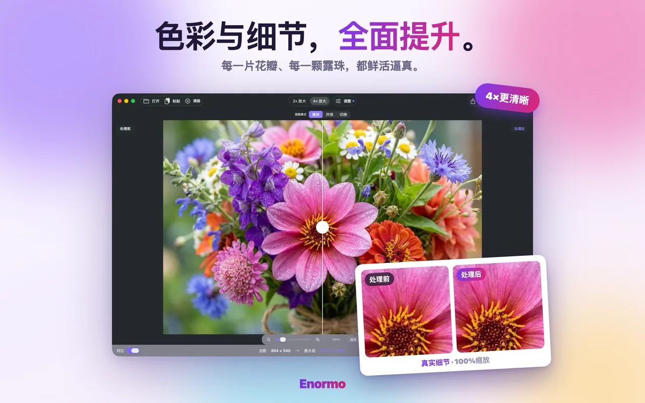 Enormo 增强风景照片的画质