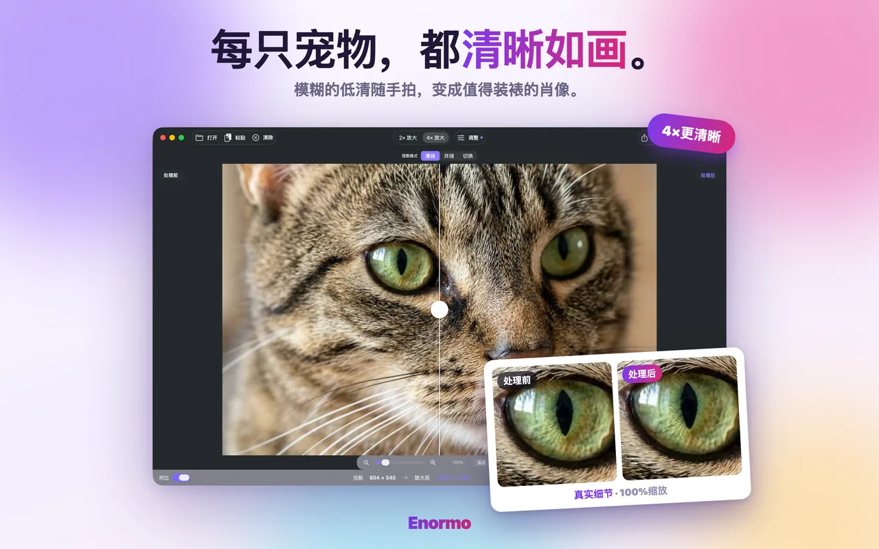 Enormo 让宠物照片变得清晰锐利、细节丰富